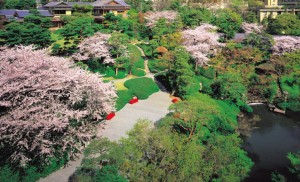 Cherry blossoms in Happo-en garden
